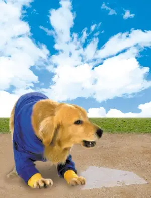 Air Bud: Seventh Inning Fetch (2002) Protected Face mask - idPoster.com