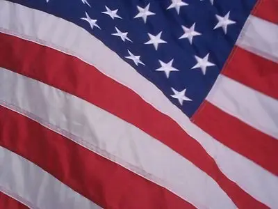 American Flag Fridge Magnet picture 154579