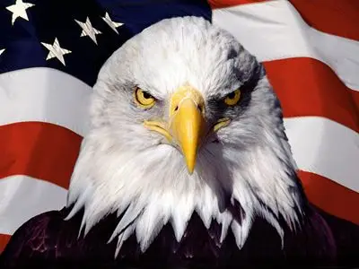 American Flag Fridge Magnet picture 154600