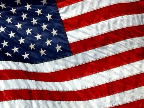 American Flag Fridge Magnet picture 154617