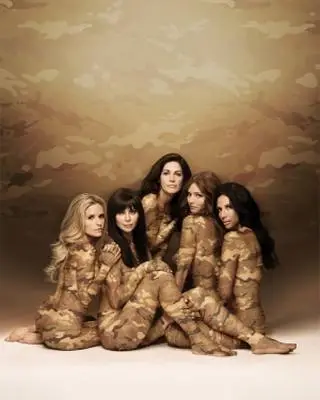 Army Wives (2007) Image Jpg picture 379953