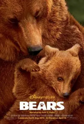 Bears (2014) Fridge Magnet picture 379982