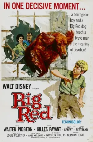 Big Red (1962) Protected Face mask - idPoster.com