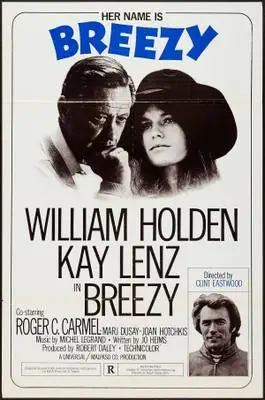 Breezy (1973) Wall Poster picture 380022
