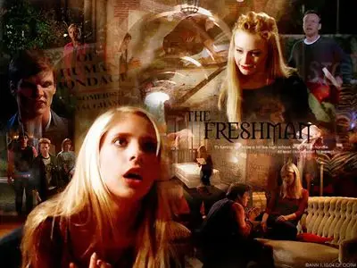 Buffy the Vampire Slayer Fridge Magnet picture 216465