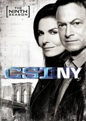 CSI: NY (2004) Wall Poster picture 380076