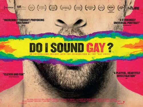 Do I Sound Gay (2015) Fridge Magnet picture 460307