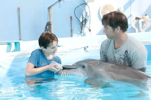 Dolphin Tale (2011) Wall Poster picture 152478