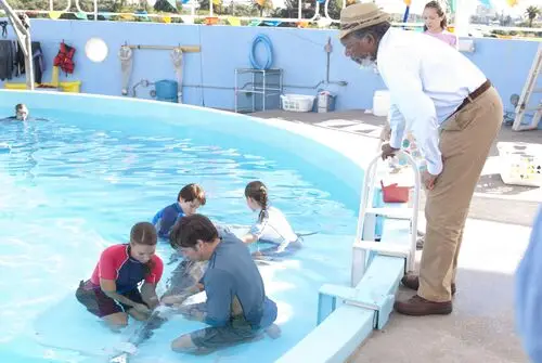 Dolphin Tale (2011) Jigsaw Puzzle picture 152484