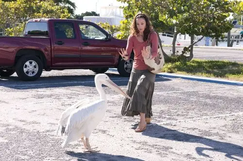 Dolphin Tale (2011) Image Jpg picture 152485