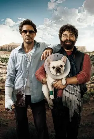 Due Date (2010) Wall Poster picture 423068