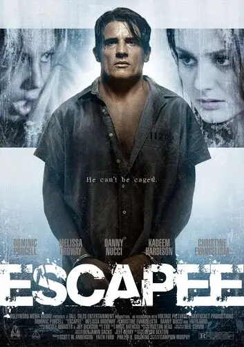Escapee (2011) Protected Face mask - idPoster.com