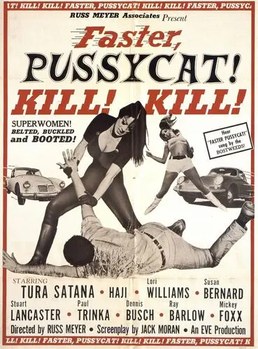 Faster, Pussycat! Kill! Kill! (1965) Wall Poster picture 938865