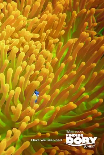 Finding Dory (2016) Wall Poster picture 472180