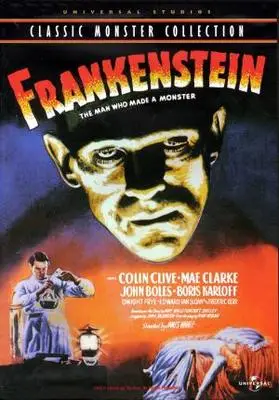 Frankenstein (1931) Fridge Magnet picture 337143