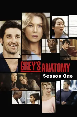 Grey's Anatomy (2005) Fridge Magnet picture 382174