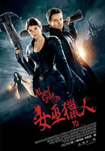 Hansel and Gretel Witch Hunters (2013) Wall Poster picture 501308