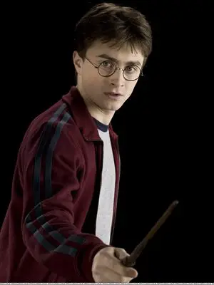 Harry Potter Fridge Magnet picture 60373