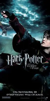 Harry Potter and the Goblet of Fire (2005) Wall Poster picture 334210