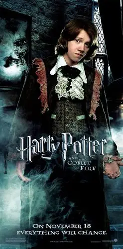 Harry Potter and the Goblet of Fire (2005) Jigsaw Puzzle picture 812996