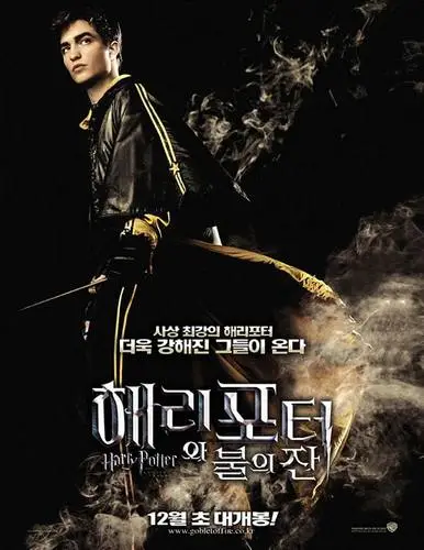 Harry Potter and the Goblet of Fire (2005) Wall Poster picture 813002