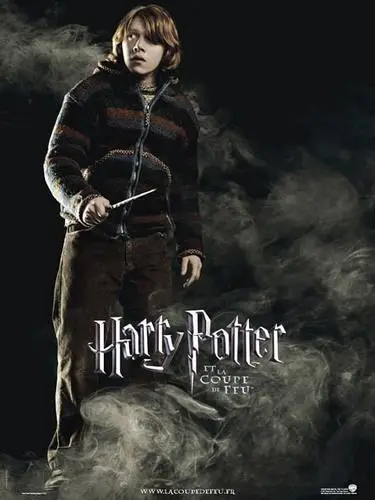 Harry Potter and the Goblet of Fire (2005) Wall Poster picture 813006