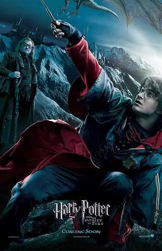 Harry Potter and the Goblet of Fire (2005) Wall Poster picture 813008
