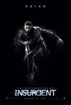 Insurgent (2015) Wall Poster picture 329325