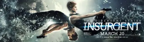 Insurgent (2015) Wall Poster picture 460626