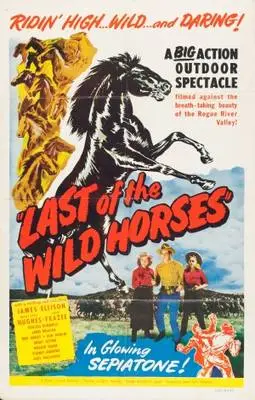 Last of the Wild Horses (1948) Men's Colored T-Shirt - idPoster.com