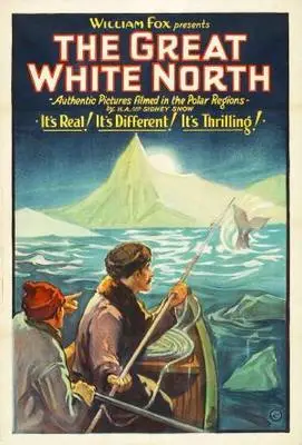Lost in the Arctic (1928) Wall Poster picture 328359