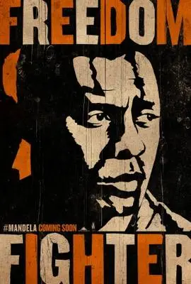 Mandela: Long Walk to Freedom (2013) Wall Poster picture 376303