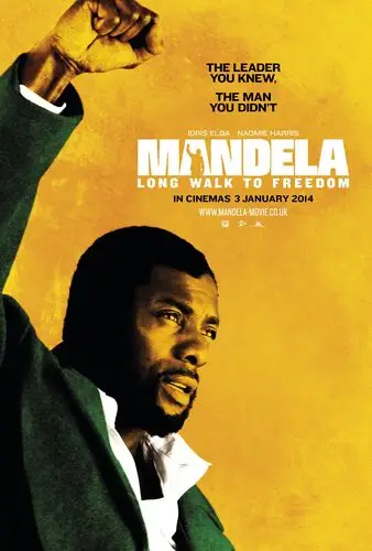 Mandela Long Walk to Freedom (2013) Computer MousePad picture 471306