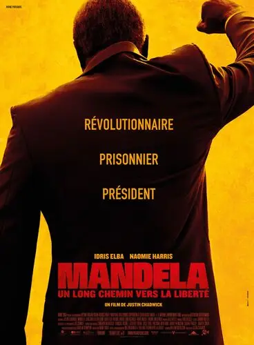 Mandela Long Walk to Freedom (2013) Men's Colored T-Shirt - idPoster.com
