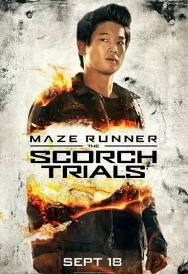 Maze Runner: The Scorch Trials (2015) Men's Colored  Long Sleeve T-Shirt - idPoster.com