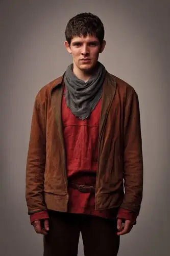 Merlin Jigsaw Puzzle picture 221593