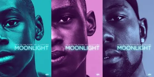 Moonlight (2016) Jigsaw Puzzle picture 536549