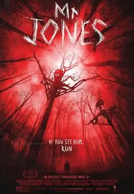 Mr. Jones (2013) Wall Poster picture 379371