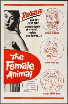 Mujer del gato, La (1970) Wall Poster picture 379378