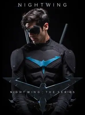 Nightwing: The Series (2014) Wall Poster picture 371402