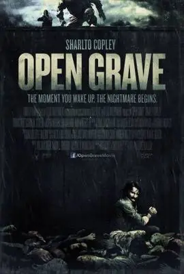 Open Grave (2013) Wall Poster picture 380455