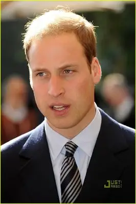 Prince William Wall Poster picture 103783