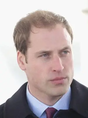 Prince William Wall Poster picture 103845