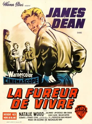 Rebel Without a Cause (1955) Wall Poster picture 922845