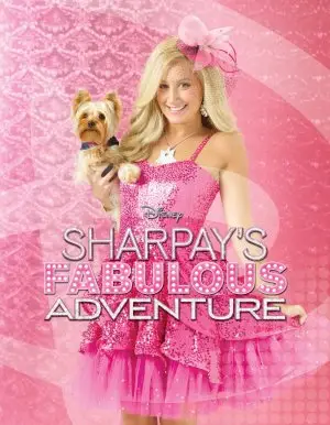 Sharpays Fabulous Adventure (2011) Men's Colored Hoodie - idPoster.com