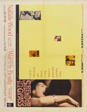 Splendor in the Grass (1961) Wall Poster picture 447574