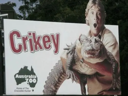 Steve Irwin - Crocodile Hunter Fridge Magnet picture 118972