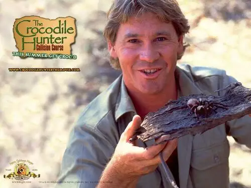 Steve Irwin - Crocodile Hunter Men's Colored T-Shirt - idPoster.com