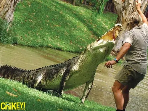 Steve Irwin - Crocodile Hunter White T-Shirt - idPoster.com
