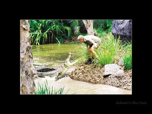 Steve Irwin - Crocodile Hunter Wall Poster picture 118982